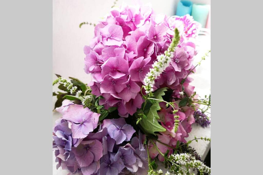 Le BosLa Belle Petite Ferme Rosiers De Julliac 19350别墅 外观 照片